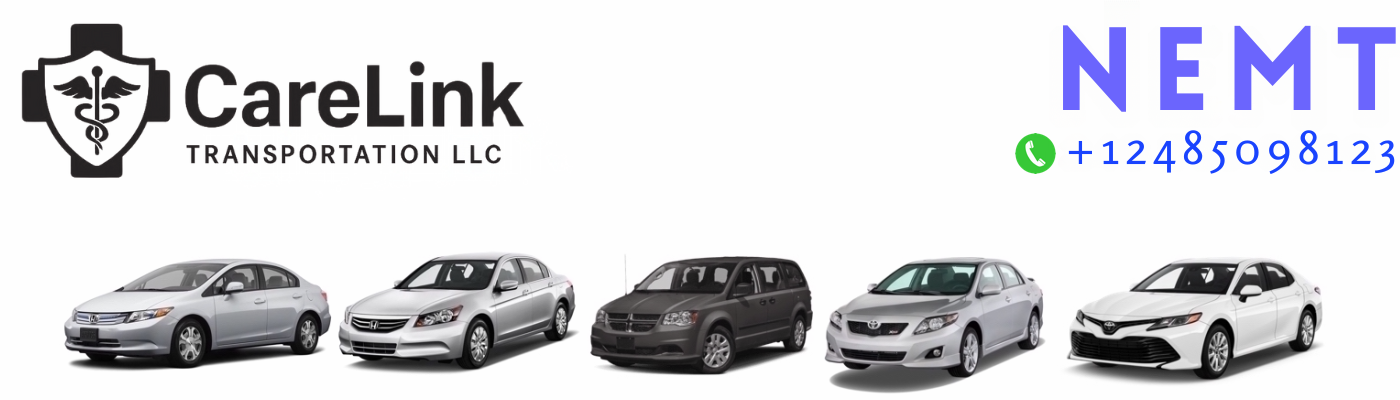 Silver Service Michigan Transportation